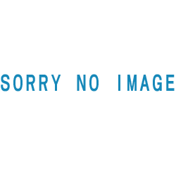 Rock ロックペイント 057 ポリパテ 2液 ポリエステル樹脂パテ シリーズ の商品画像です